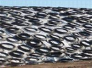 Truck Tire Sidewalls (cut tire rings) for silage pile cover weights
