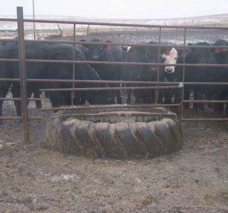 livestock water tanks from recycled tires